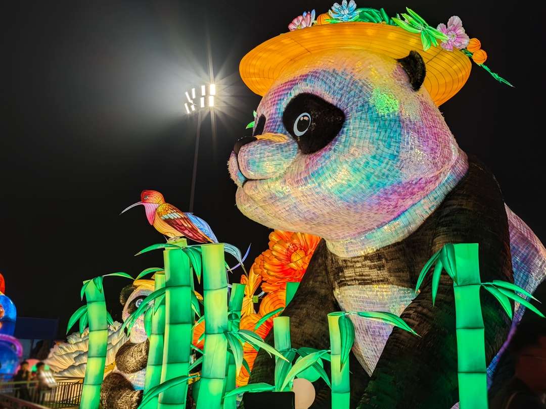 Labtern Cooperation Models For Chinese Lantern Shows And Festivals ...